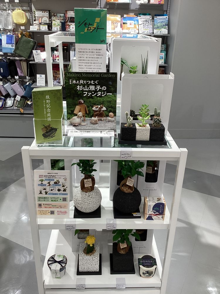 暮らしの中に植物を