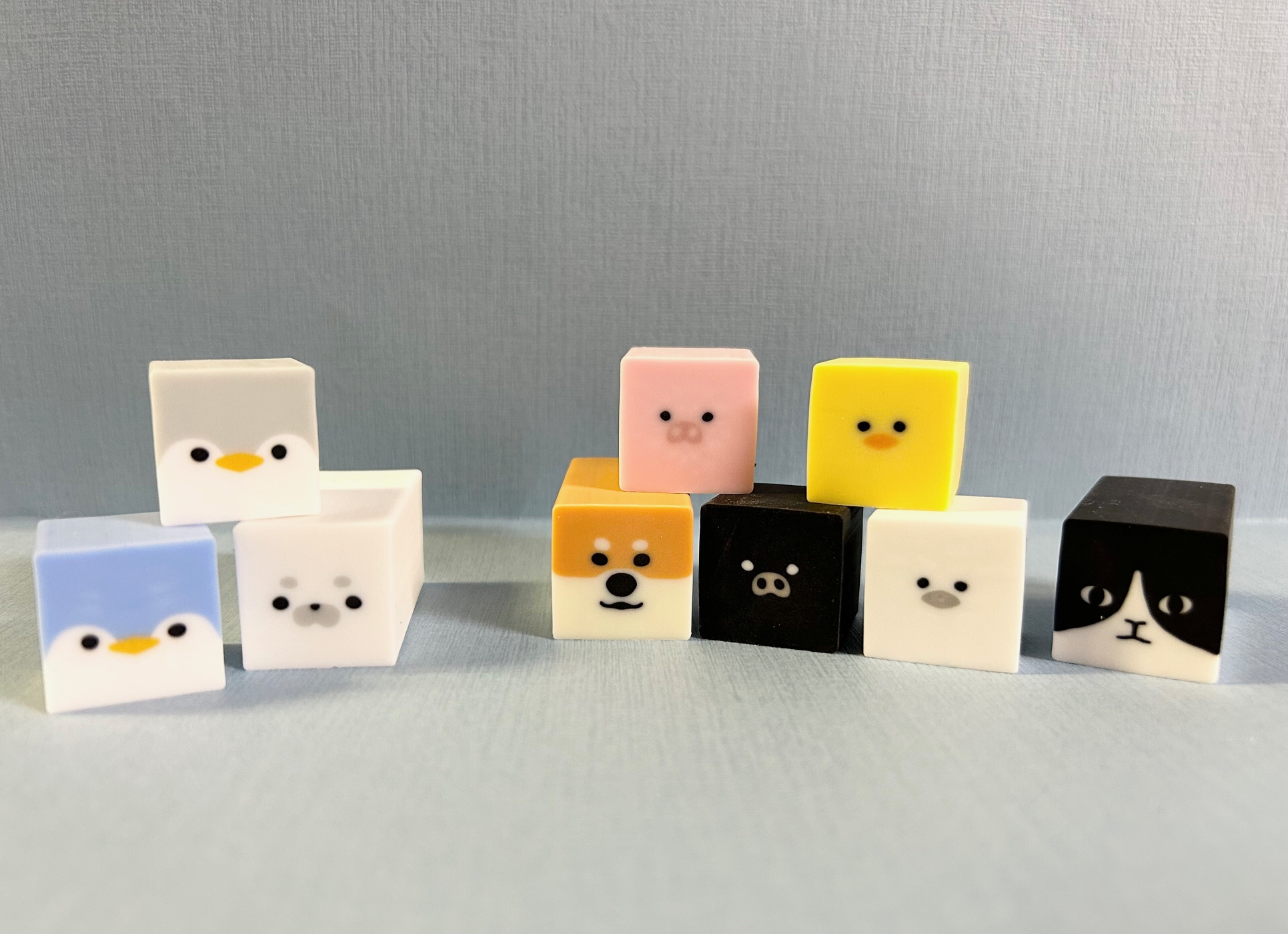 ウミゴム