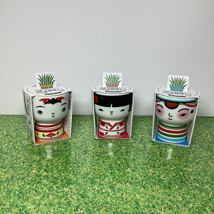 茂って栽培キット ＫＯＫＥＳＨＩ