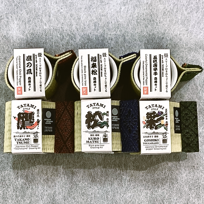 お部屋に小さな彩りを ～お芽でたおちょこ 畳～