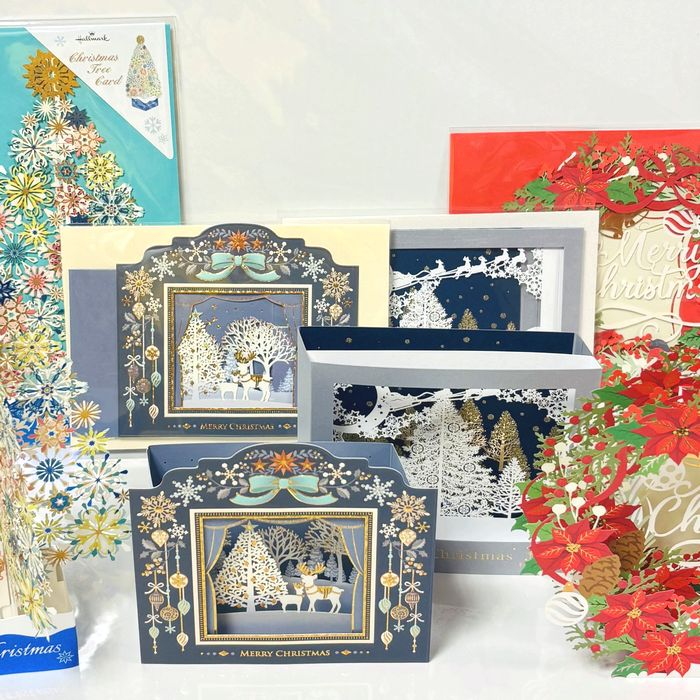 贈る相手に合わせて選ぼう