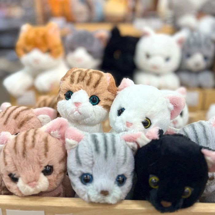 サンレモンのぬいぐるみ