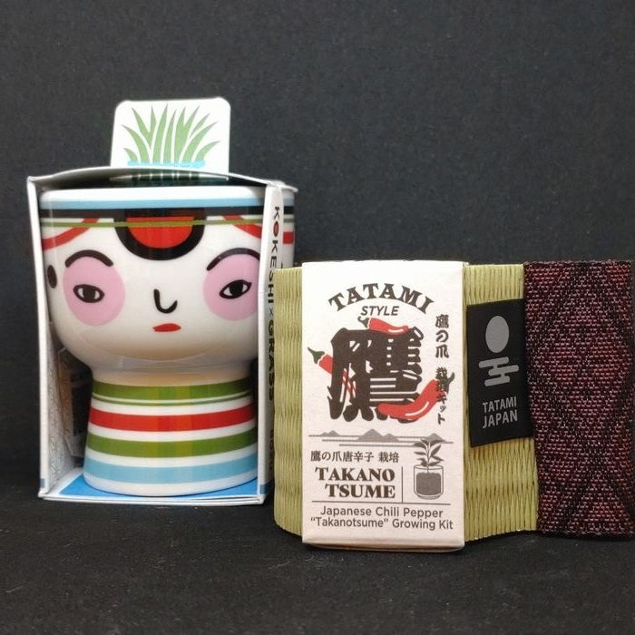 栽培キットでお部屋に緑を