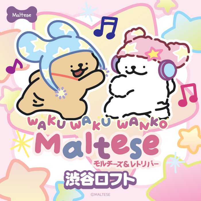 【予告】Maltese ポップアップストア in ロフト
