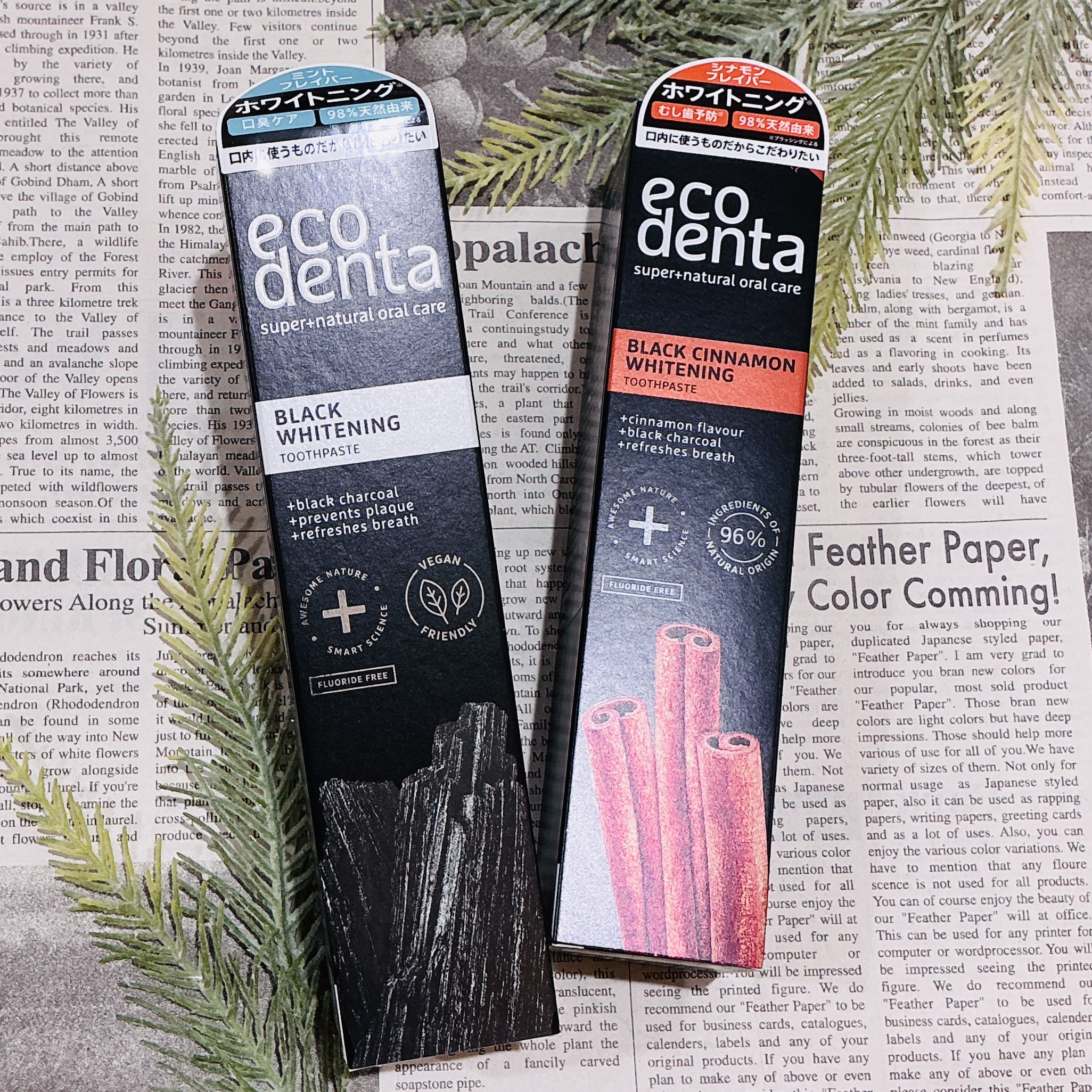 ecodenta（エコデンタ）