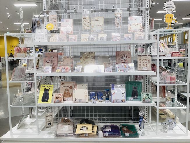 ネコとイヌとクリエイター