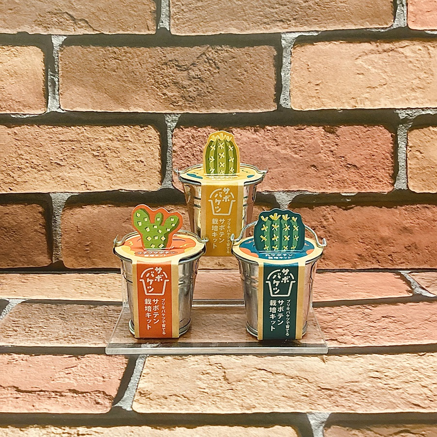 サボバケツ栽培キット