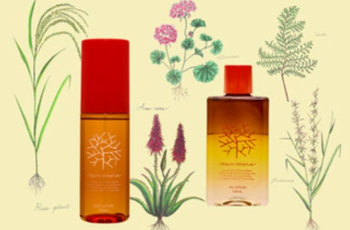 みんなでみらいを