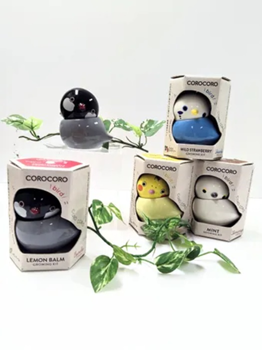 コロコロバード