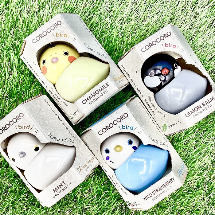 コロコロバード