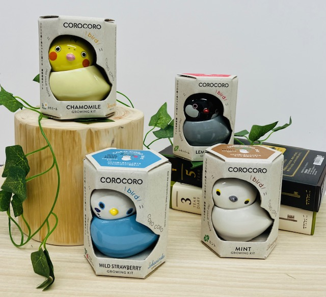 コロコロバード栽培キット