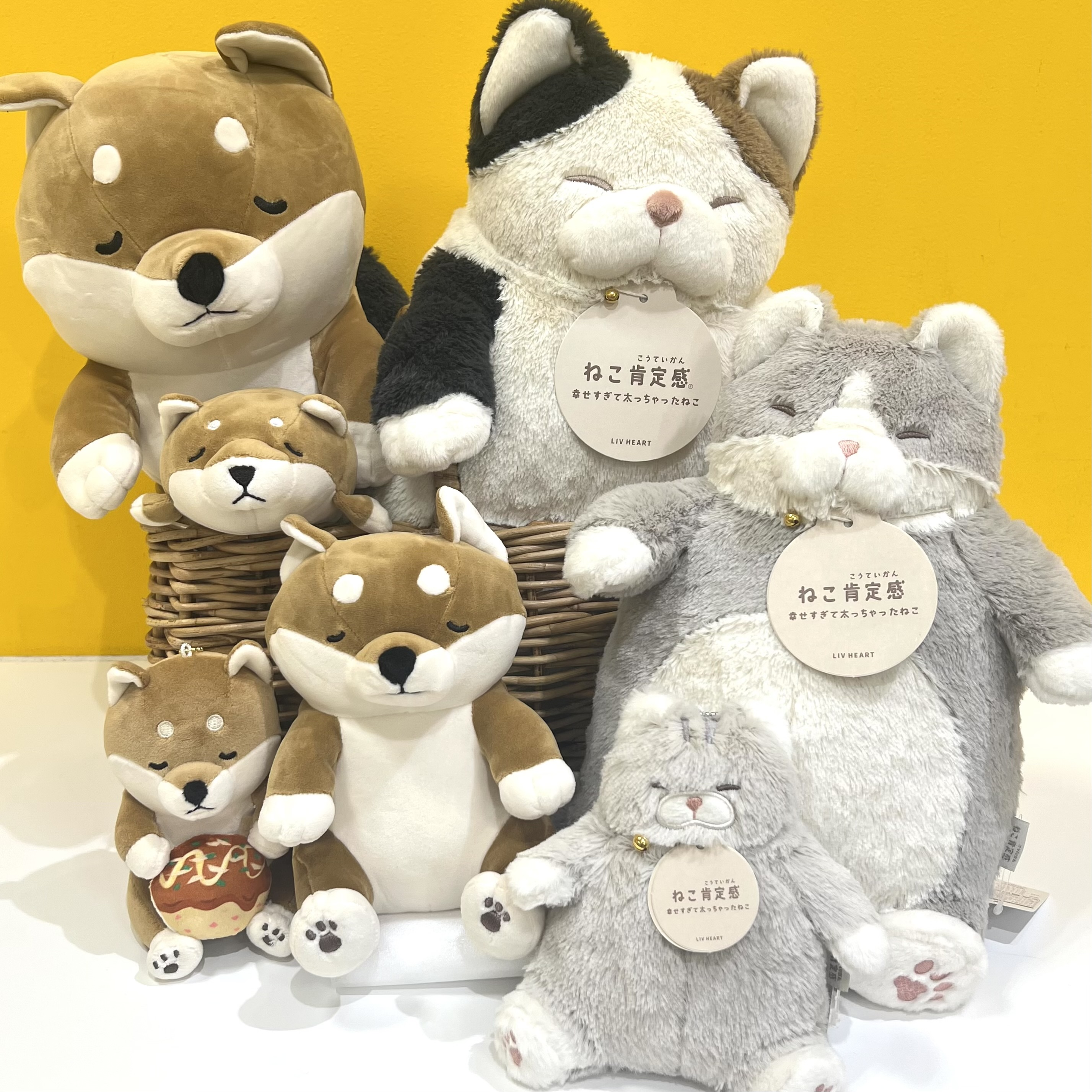 ねこ肯定感・シバイヌのコタロウ POPUP