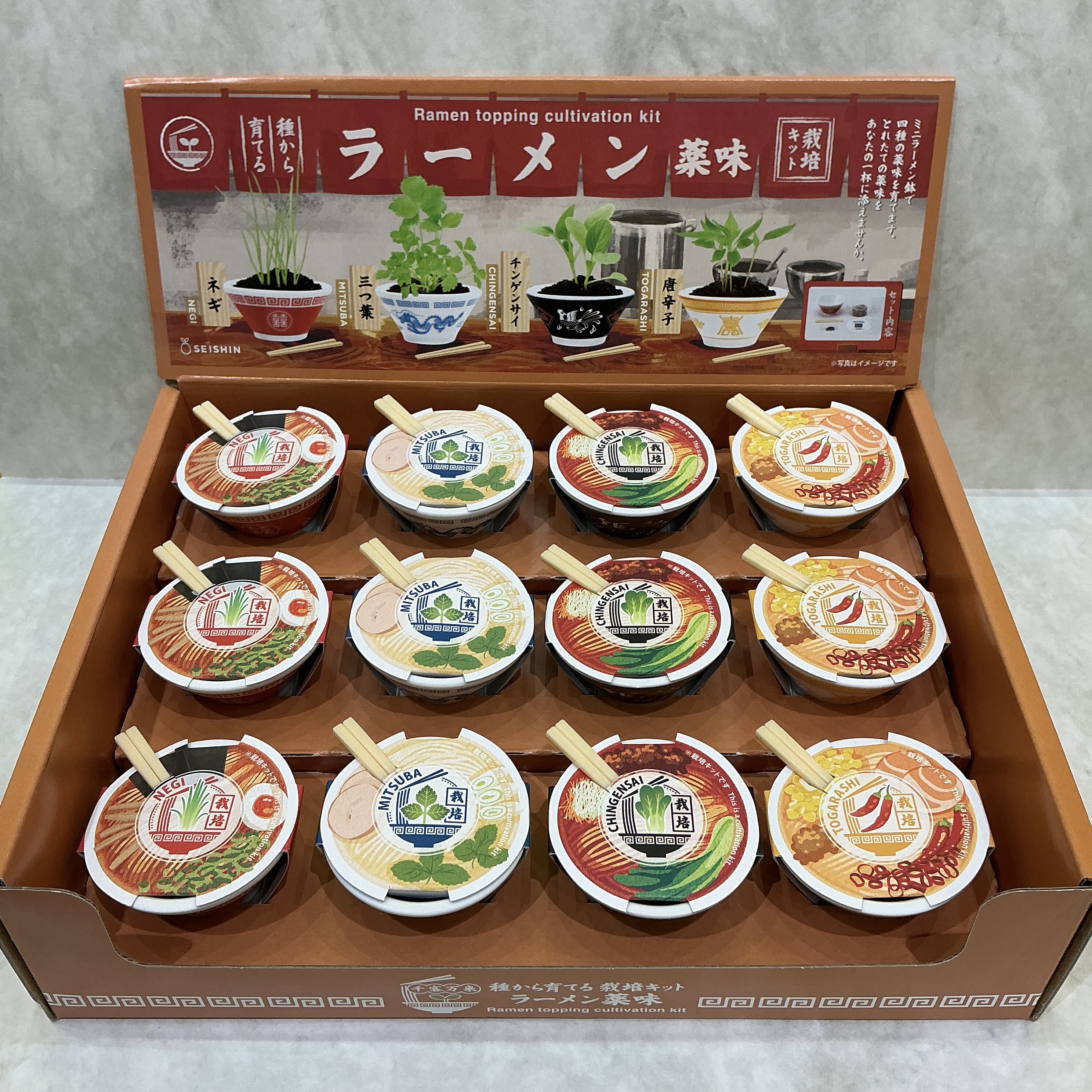 ラーメン薬味　栽培キット