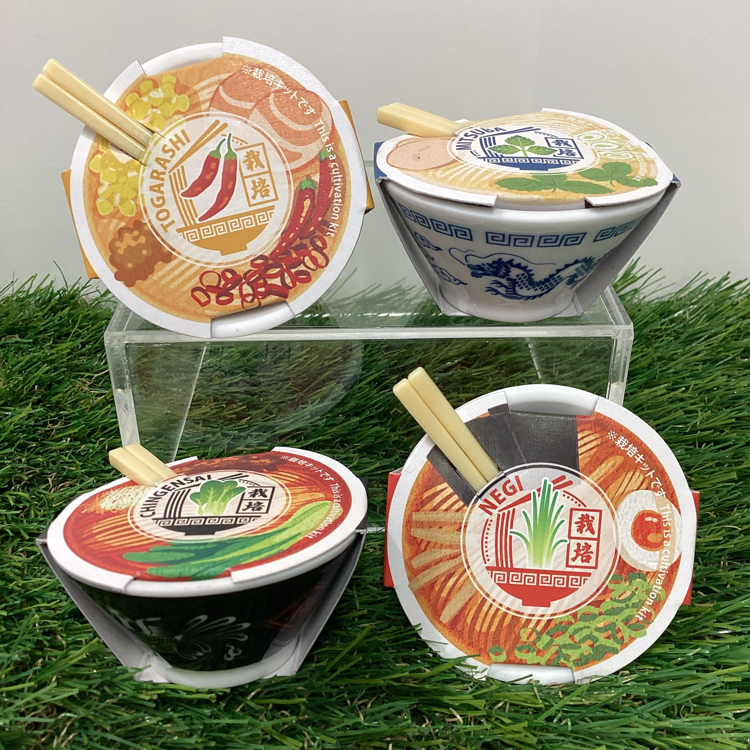 ラーメンの器で薬味を栽培！？