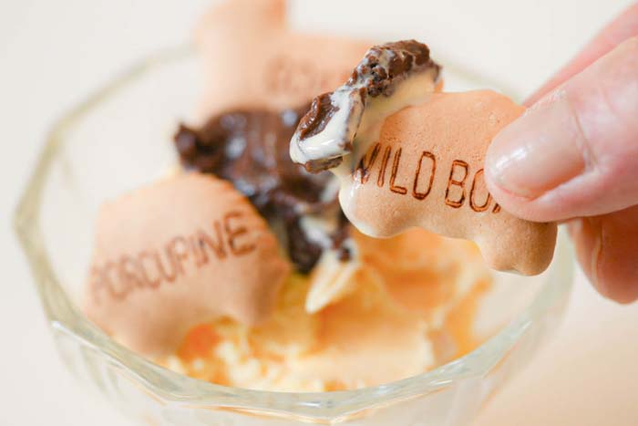 img_item_kotokiji_sub_01