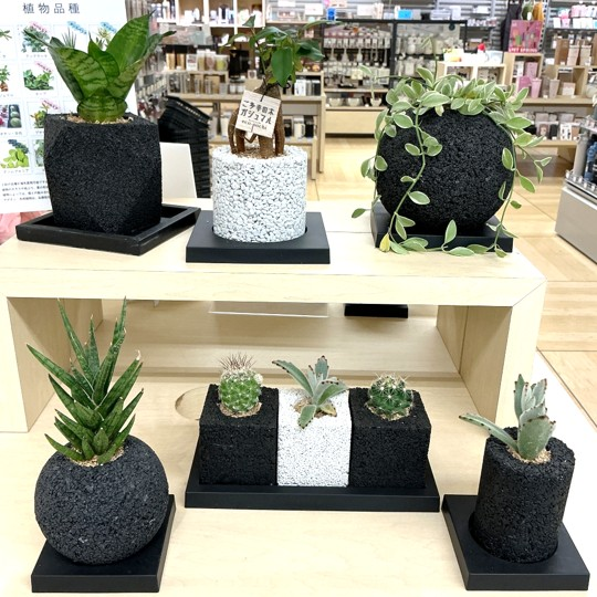 Life with エコポチ☘