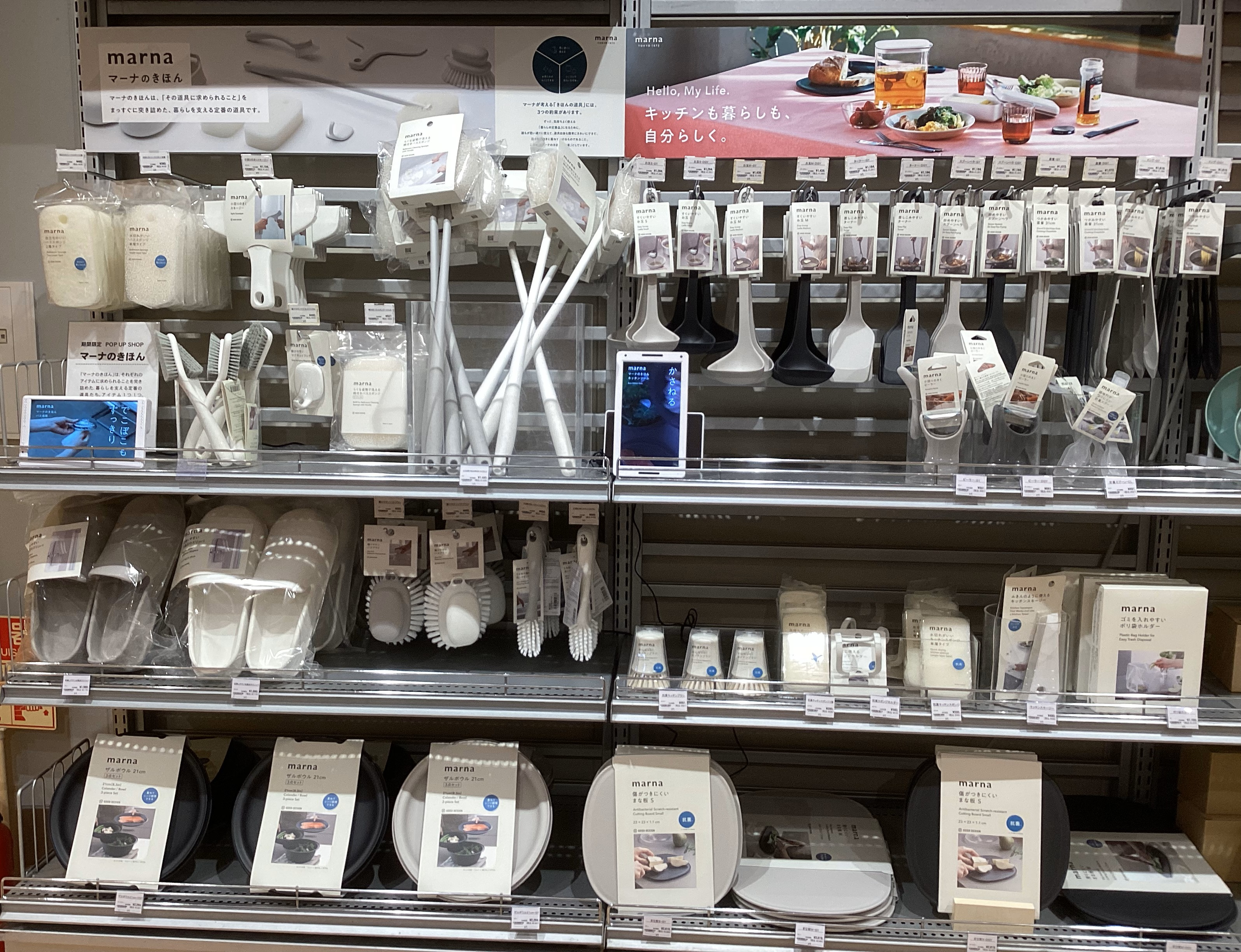 POPUP企画【マーナのきほん】