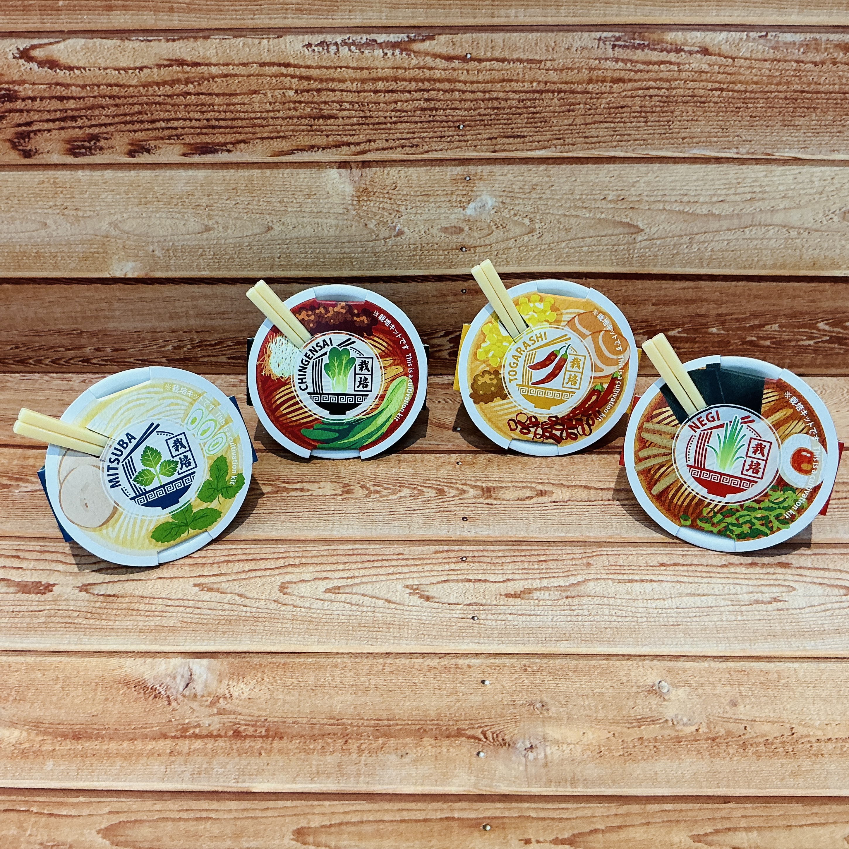 ラーメン薬味栽培キット