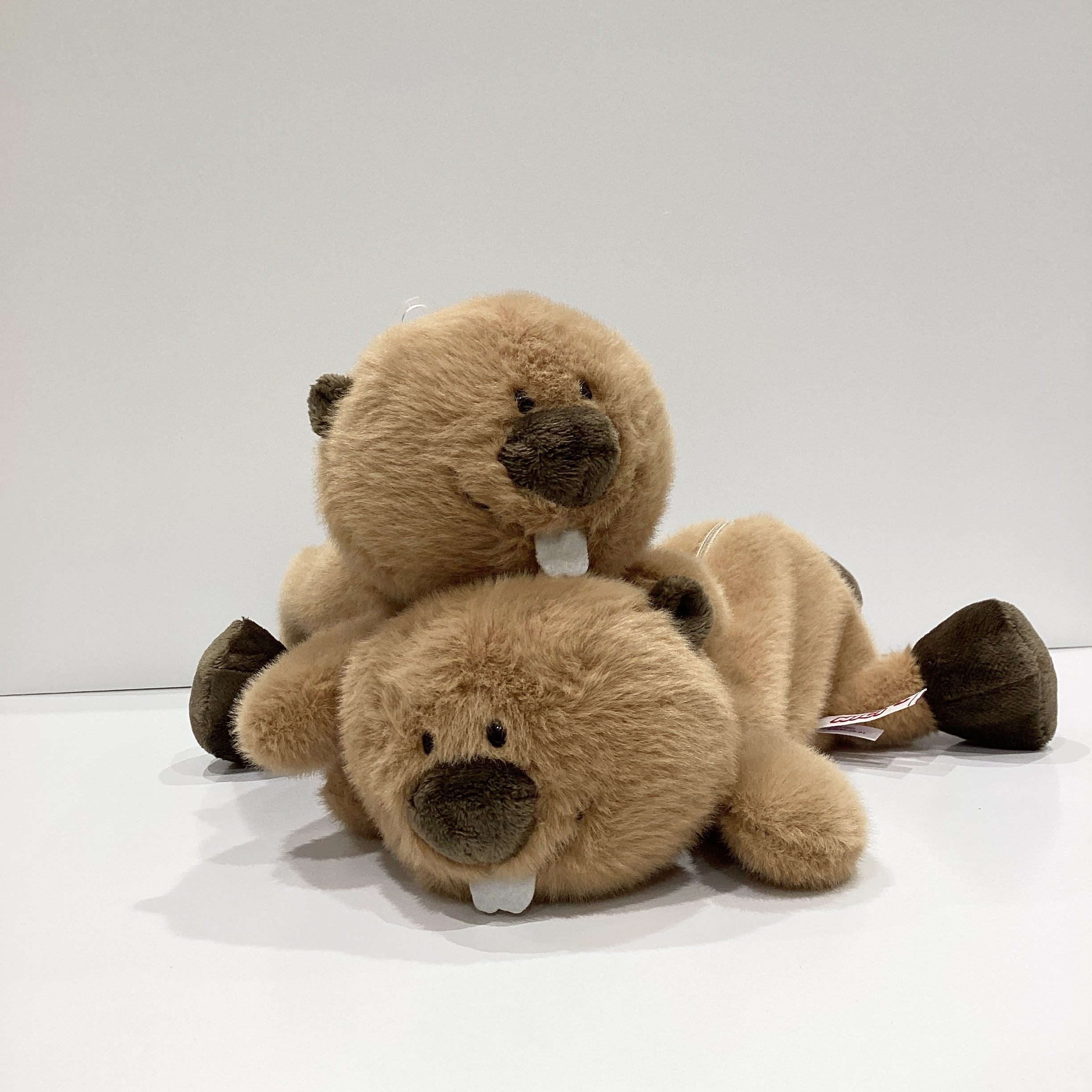 この子、連れて帰りませんか？