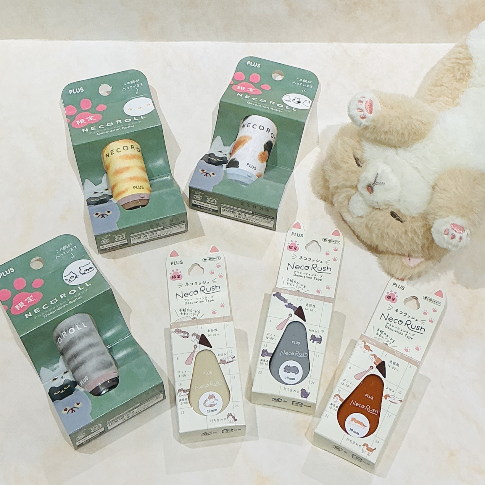 猫・ねこ・ネコ！