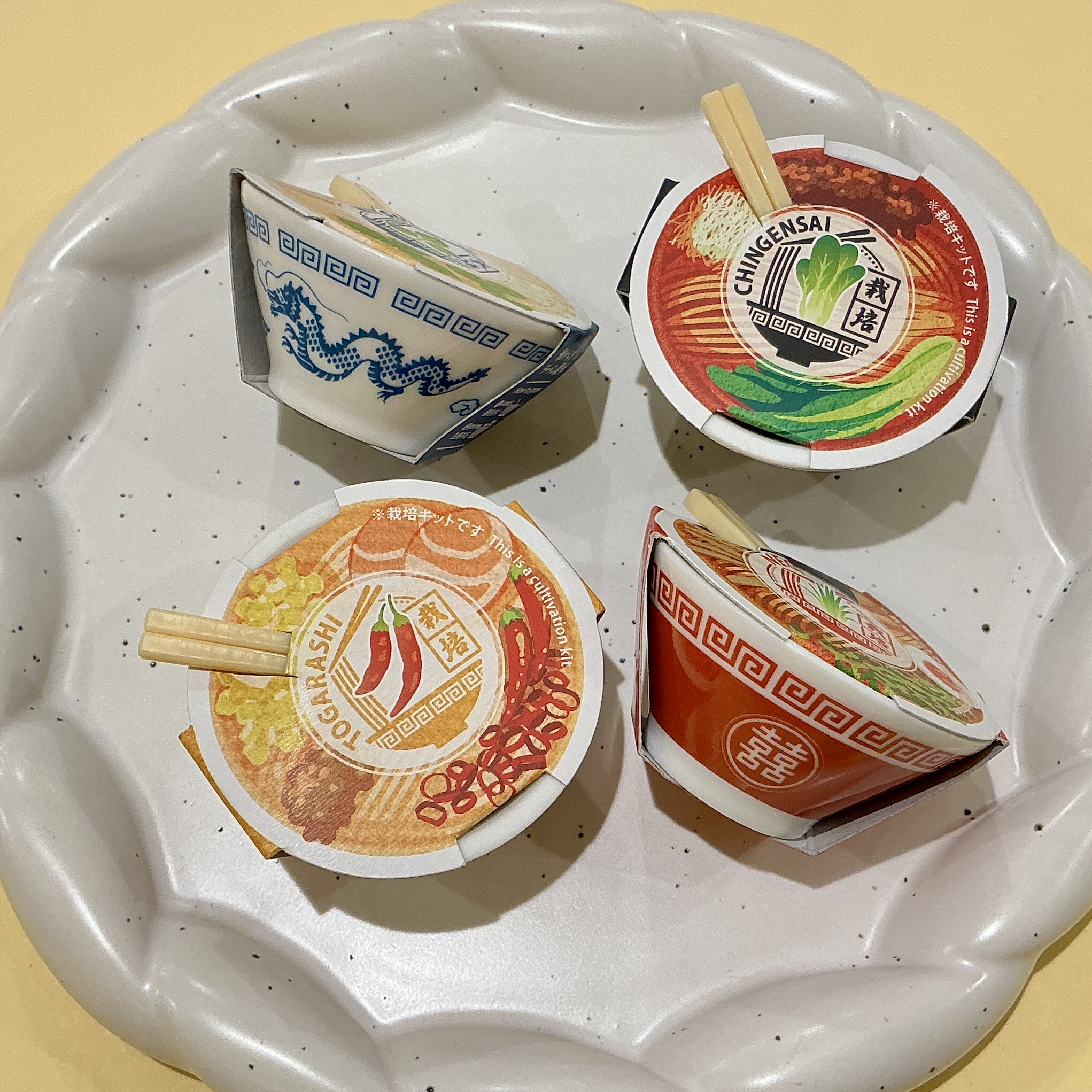 ラーメン薬味栽培キット