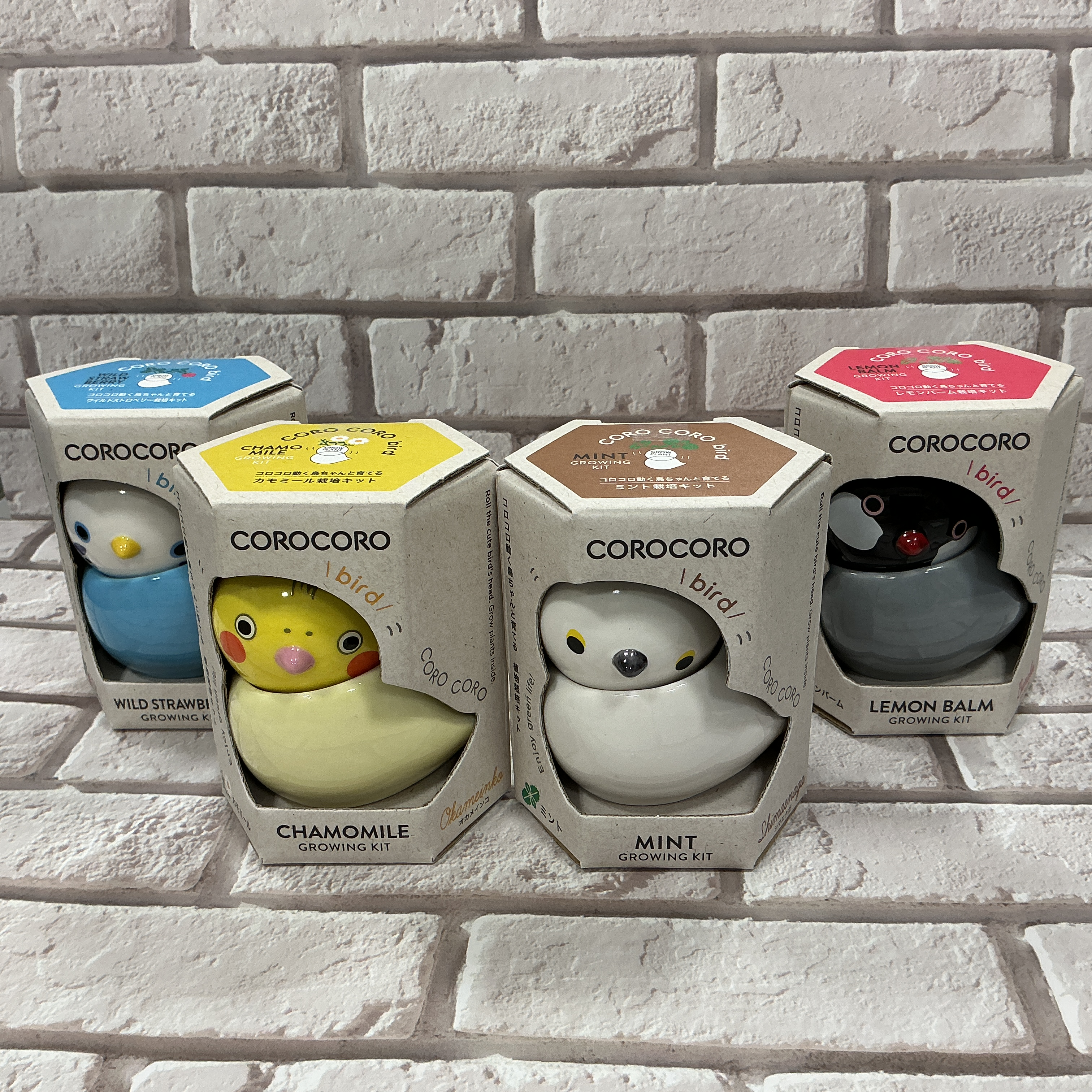 コロコロバード