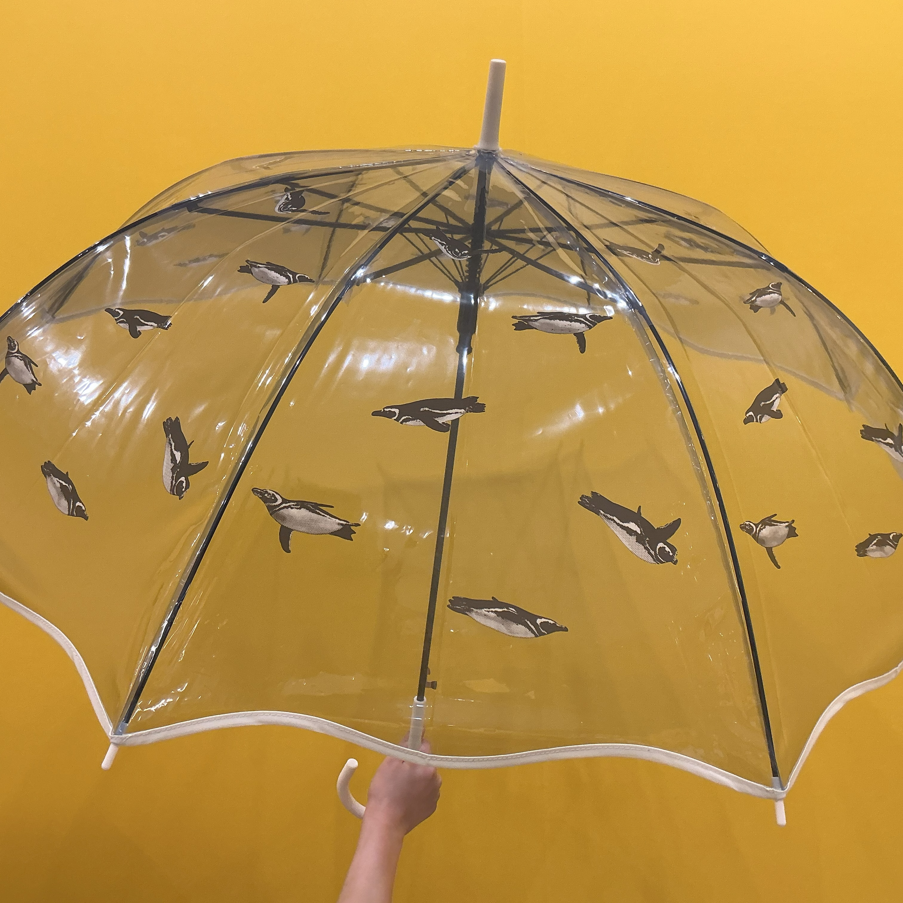 すみだ×Wpc　なみなみペンギン