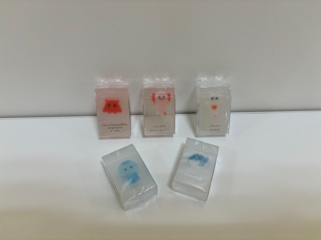 氷漬けになったいきもの消しゴム