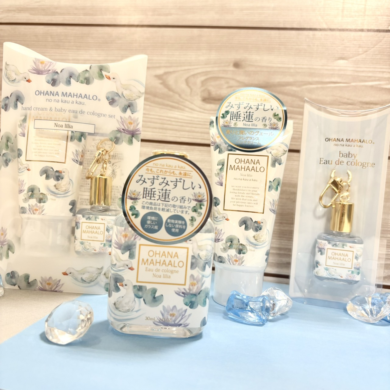 OHANA MAHAALO -⋆ Noa lilia ⋆₋