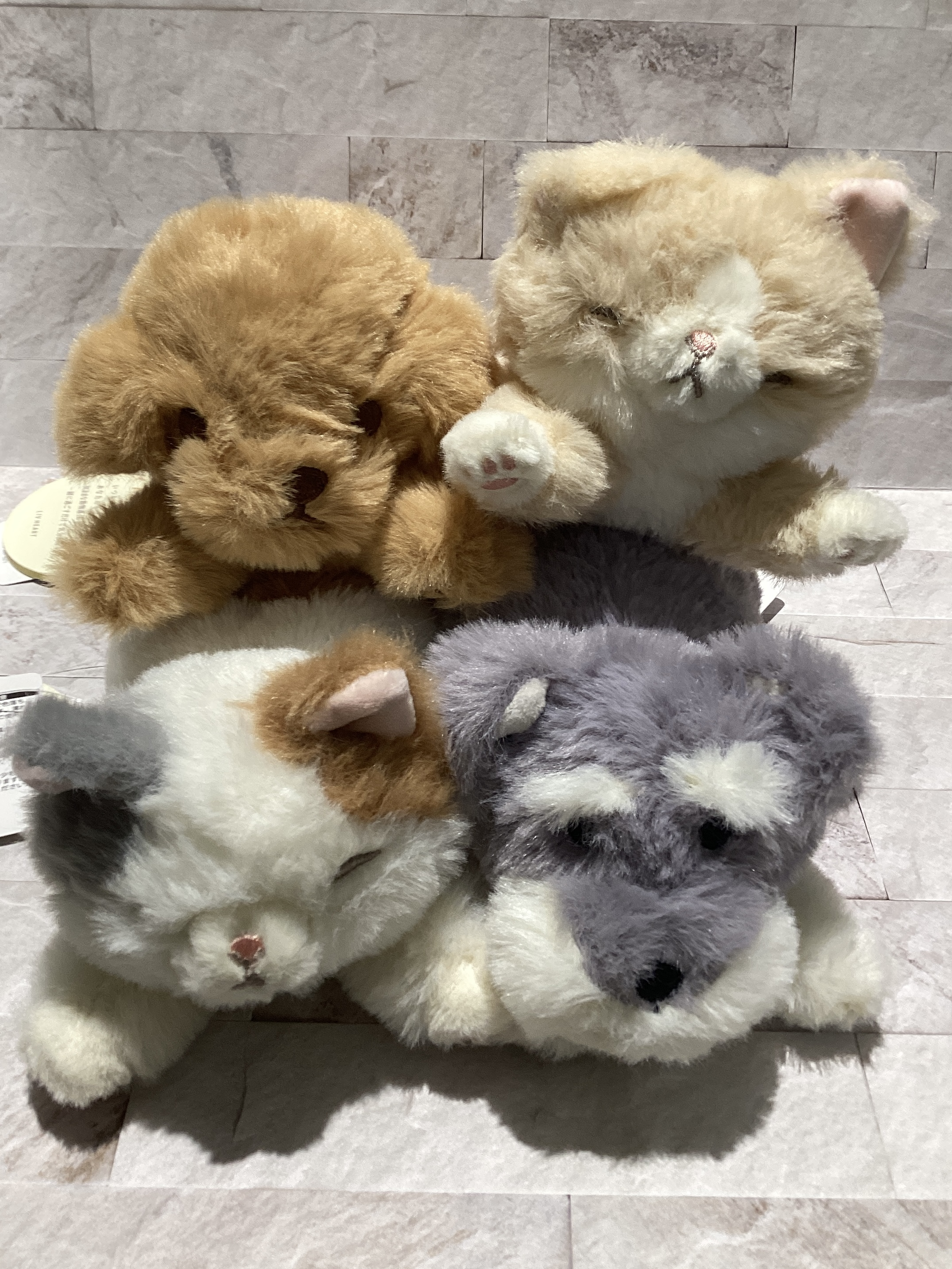 くたっとびより