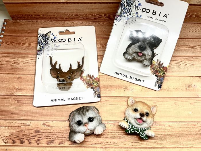 カワイイお顔に癒される