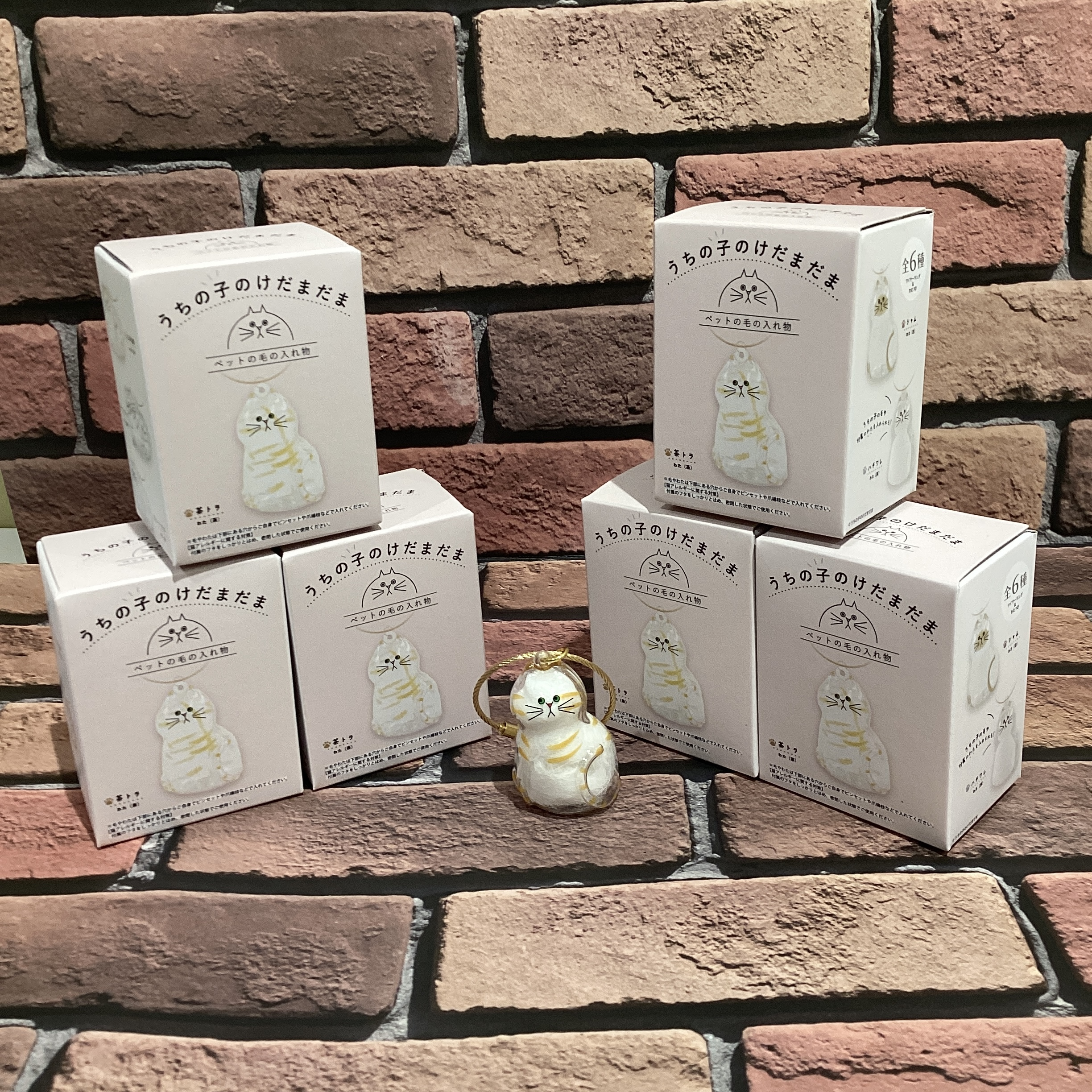 うちの子のけだまだま