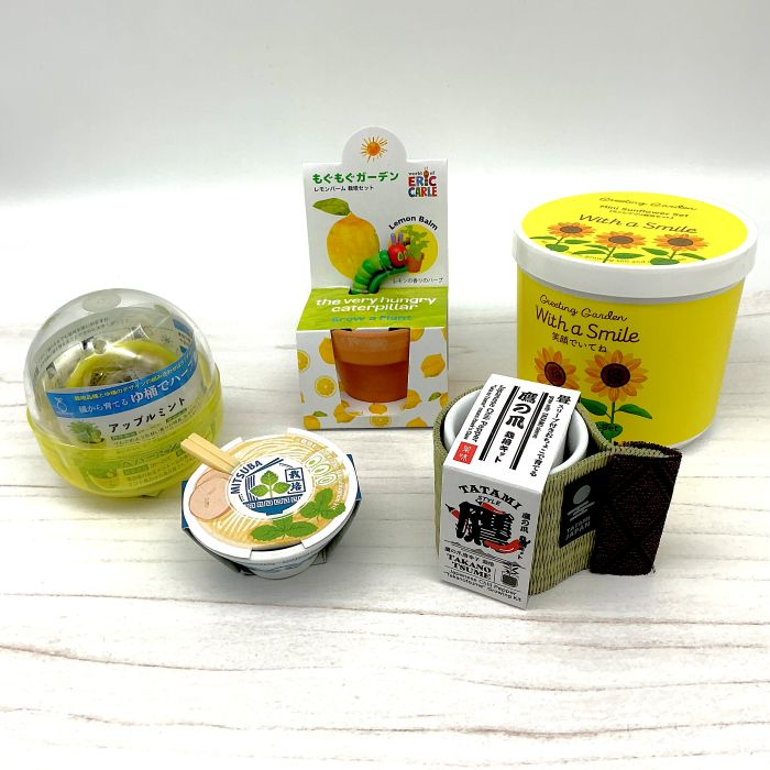 栽培キットで薬味を育ててみませんか