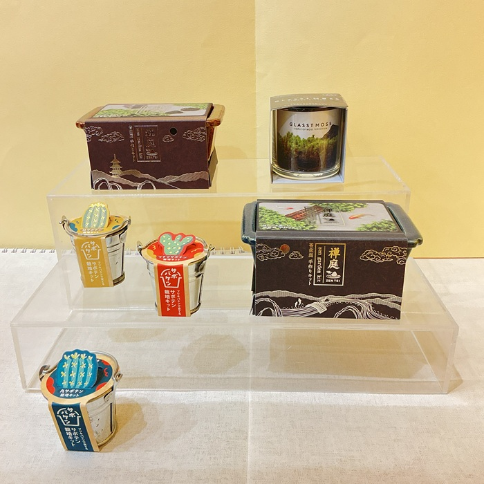 盆栽　栽培キット