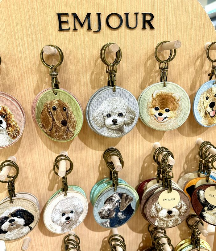 みにつける、コレクション