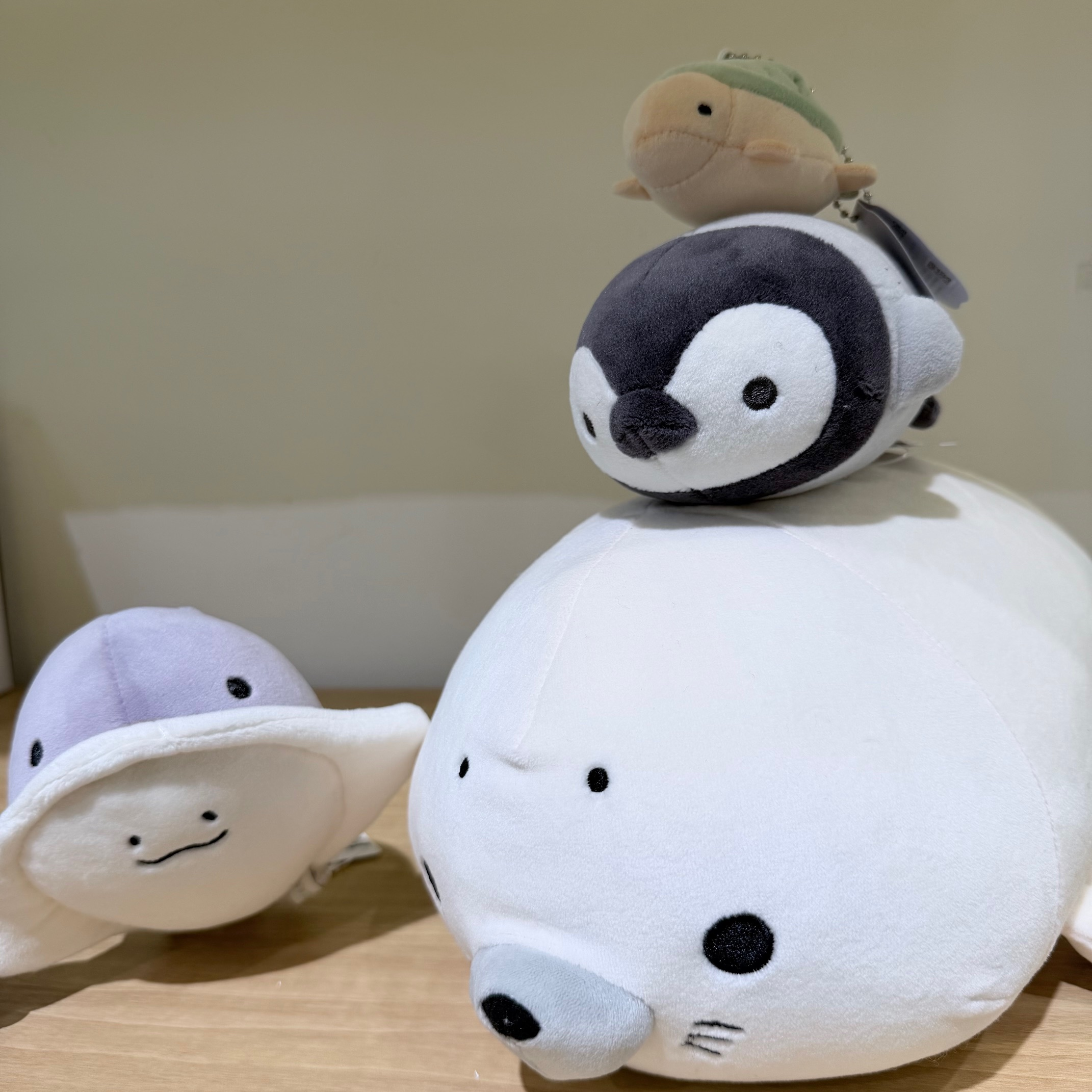 マシュマロアクアミエPOPUP