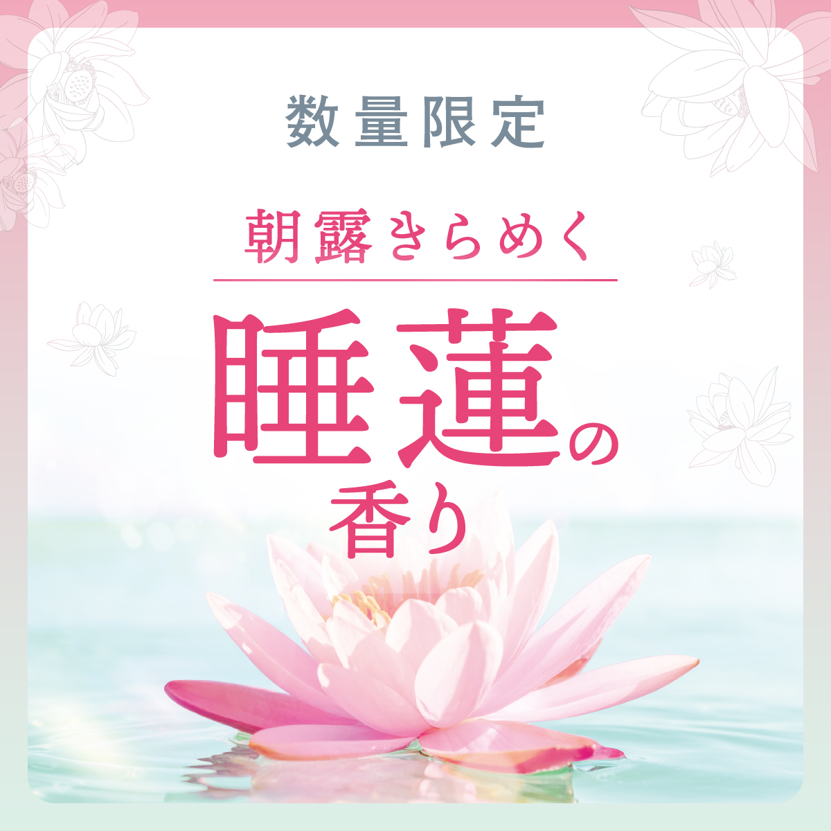 レールデュサボン睡蓮の香り