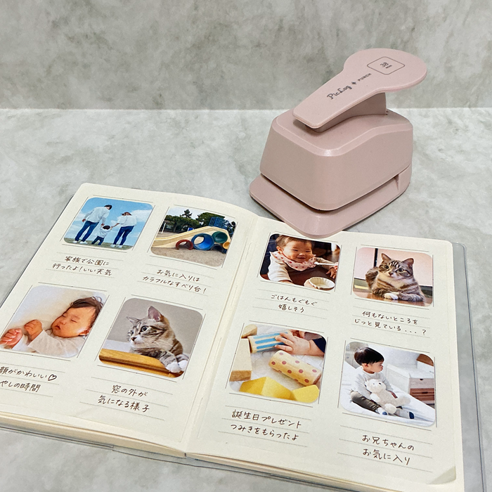 Piclog -ピクログ-