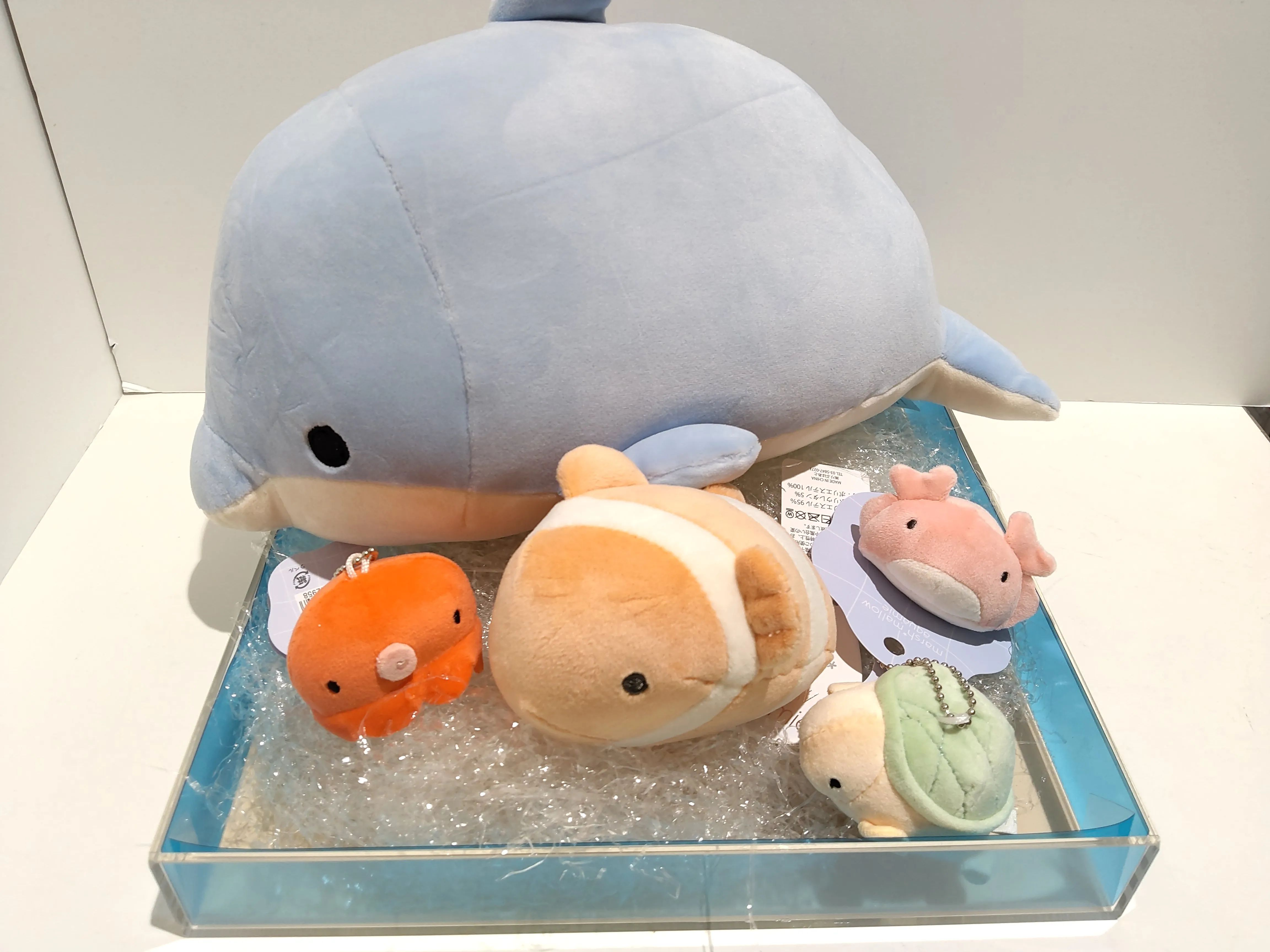 【期間限定】アクアミエ＆ねこ肯定感POPUP