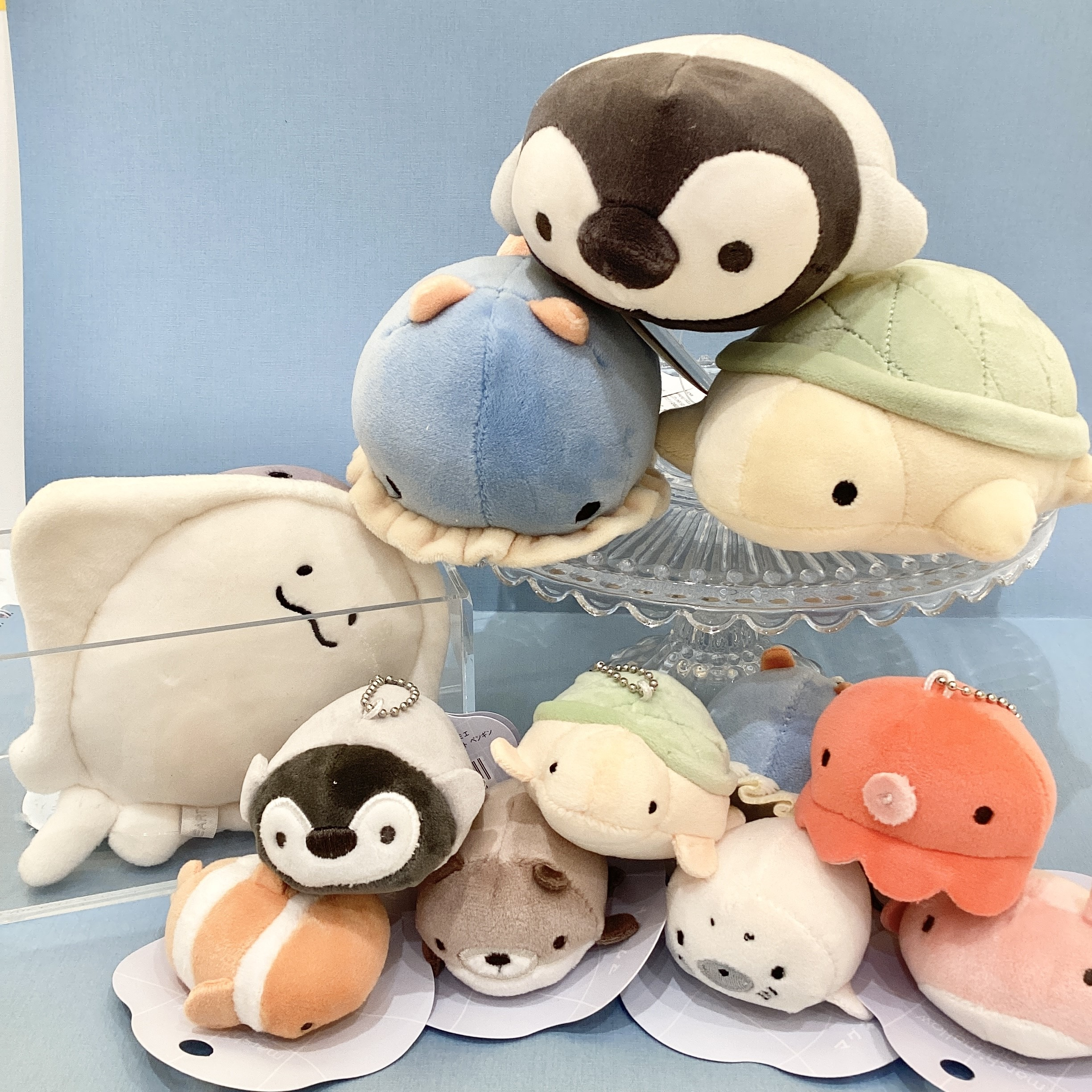 海のいきもの達がかわいい商品になって登場！