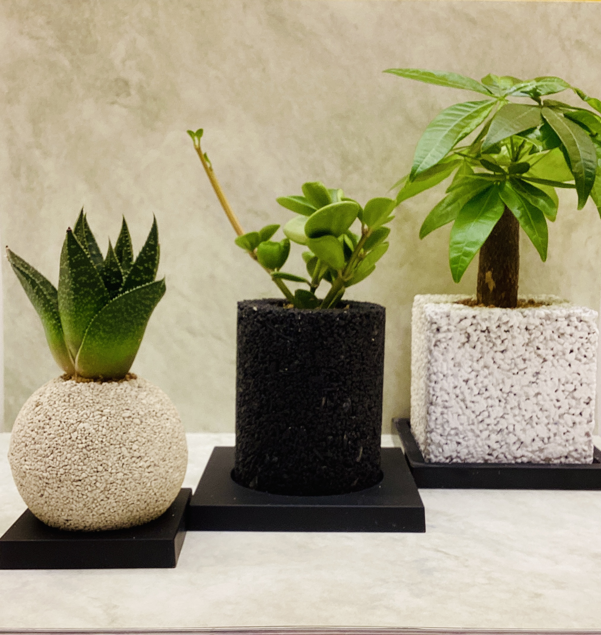 eco-pochi エコポチ