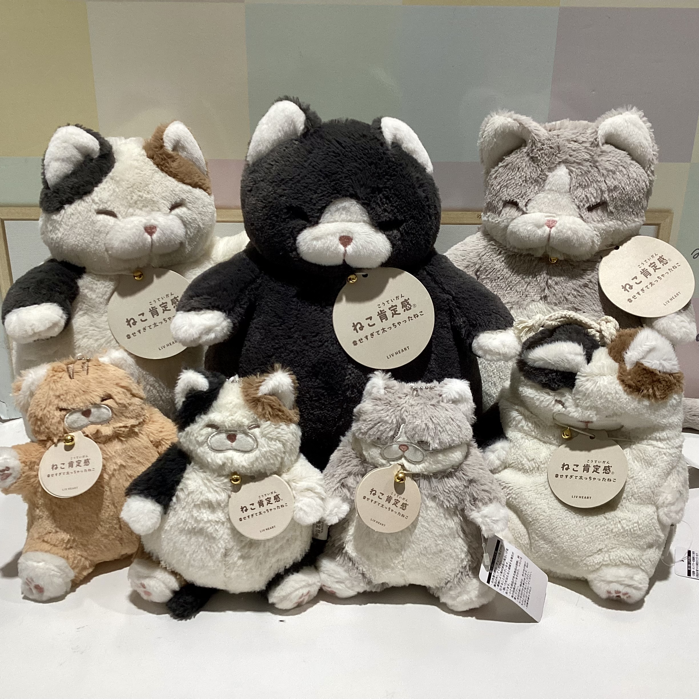 ねこ肯定感