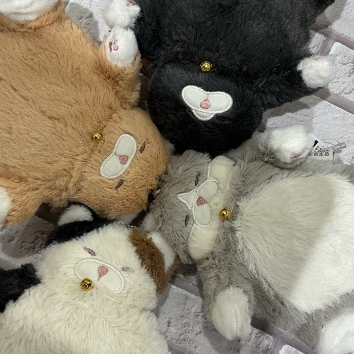 ねこ肯定感