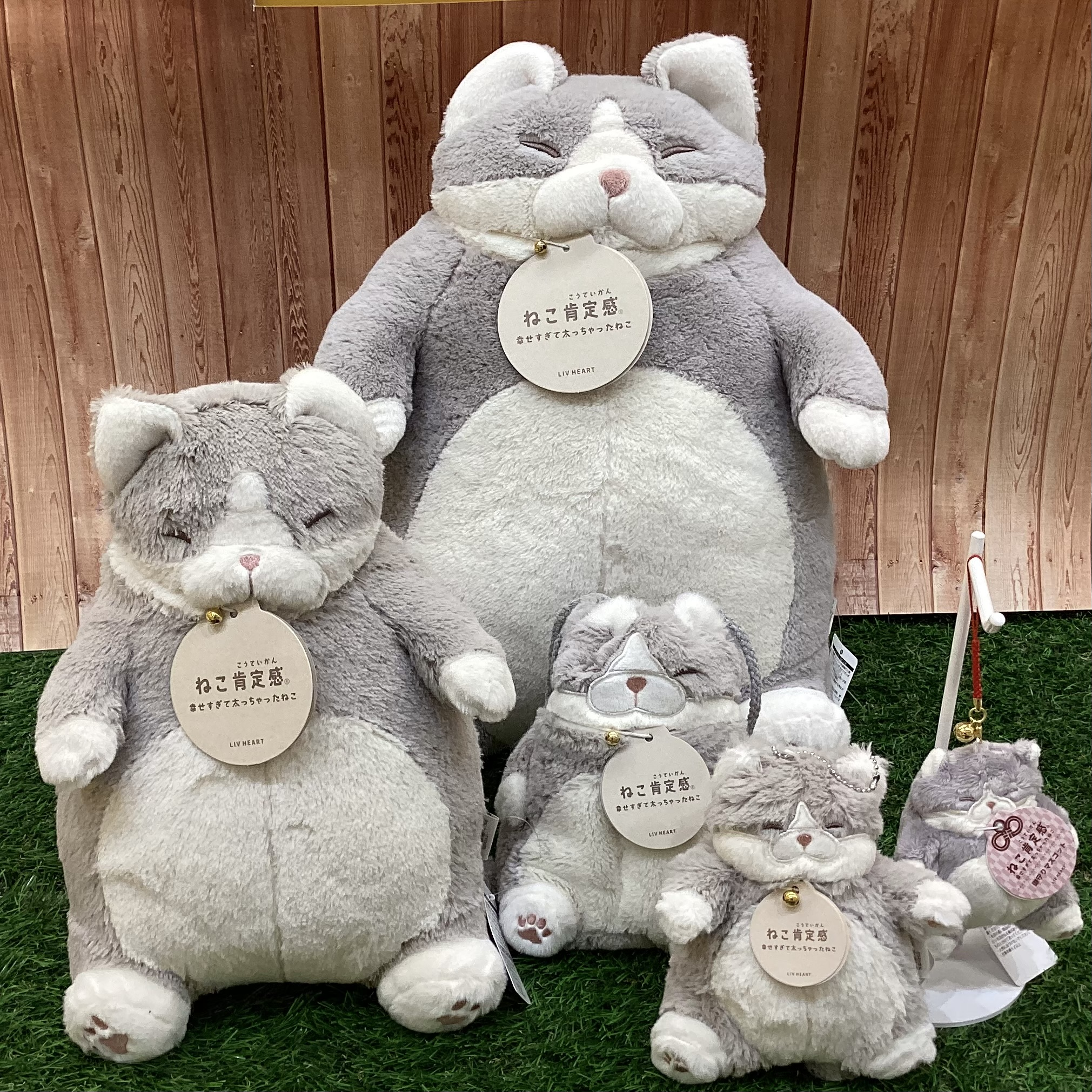 ねこ肯定感
