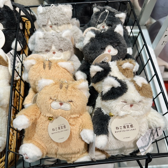 ねこ肯定感