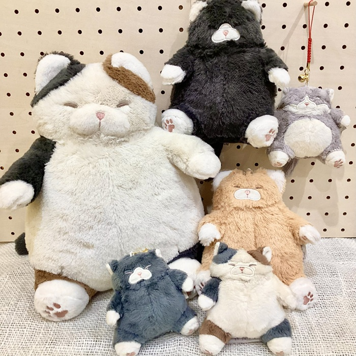 ねこ肯定感＆マシュマロアクアミエ