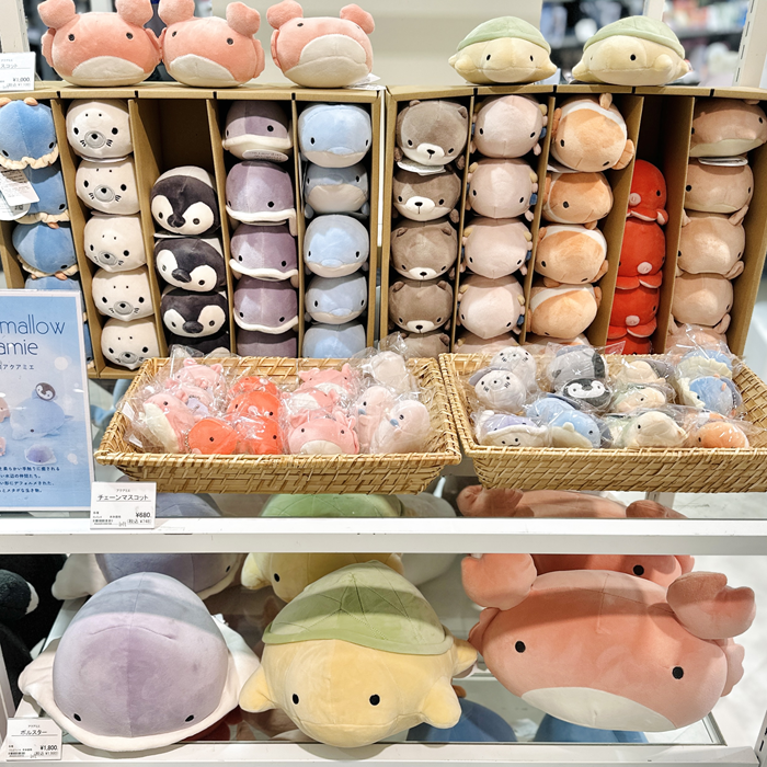 マシュマロアクアミエ