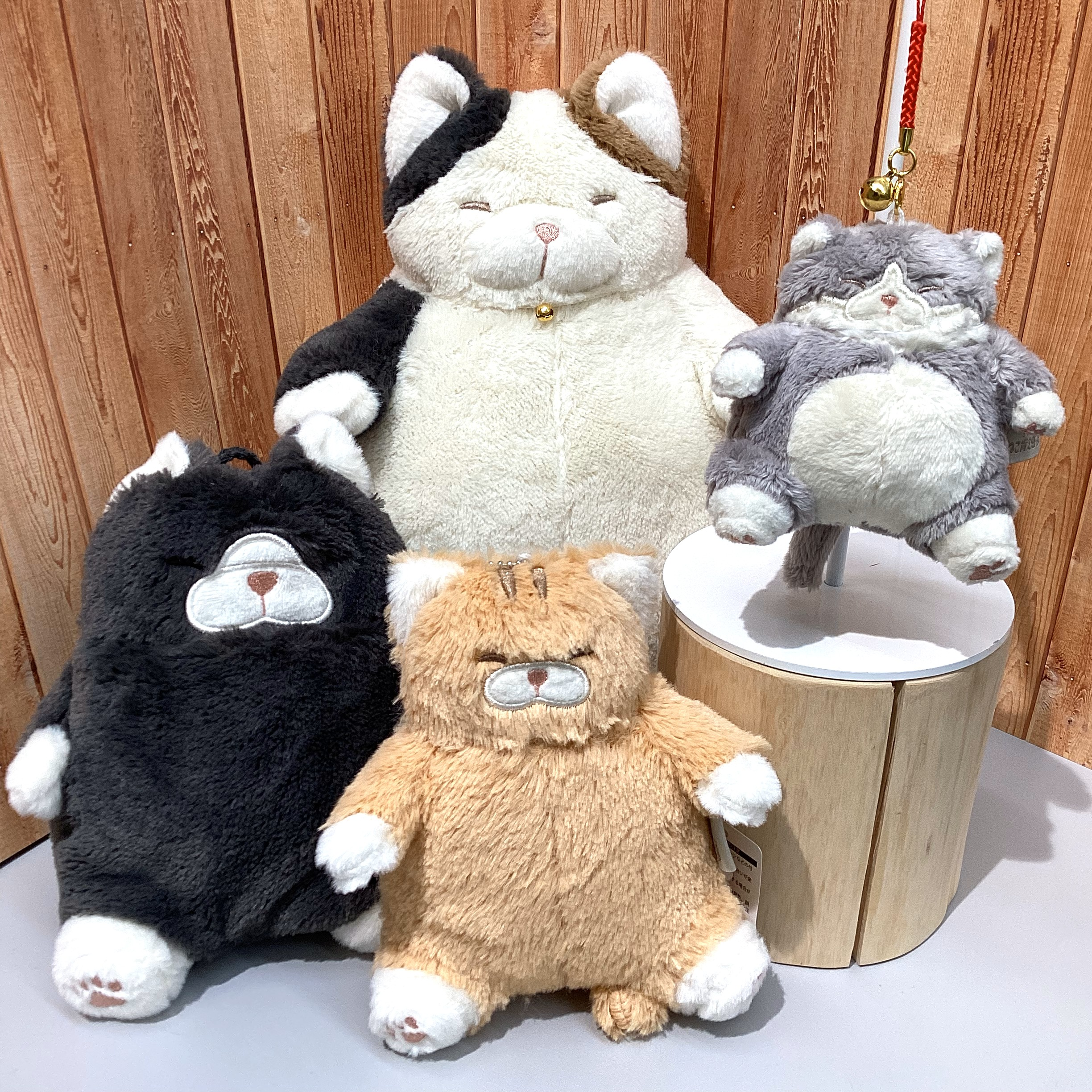 ねこ肯定感