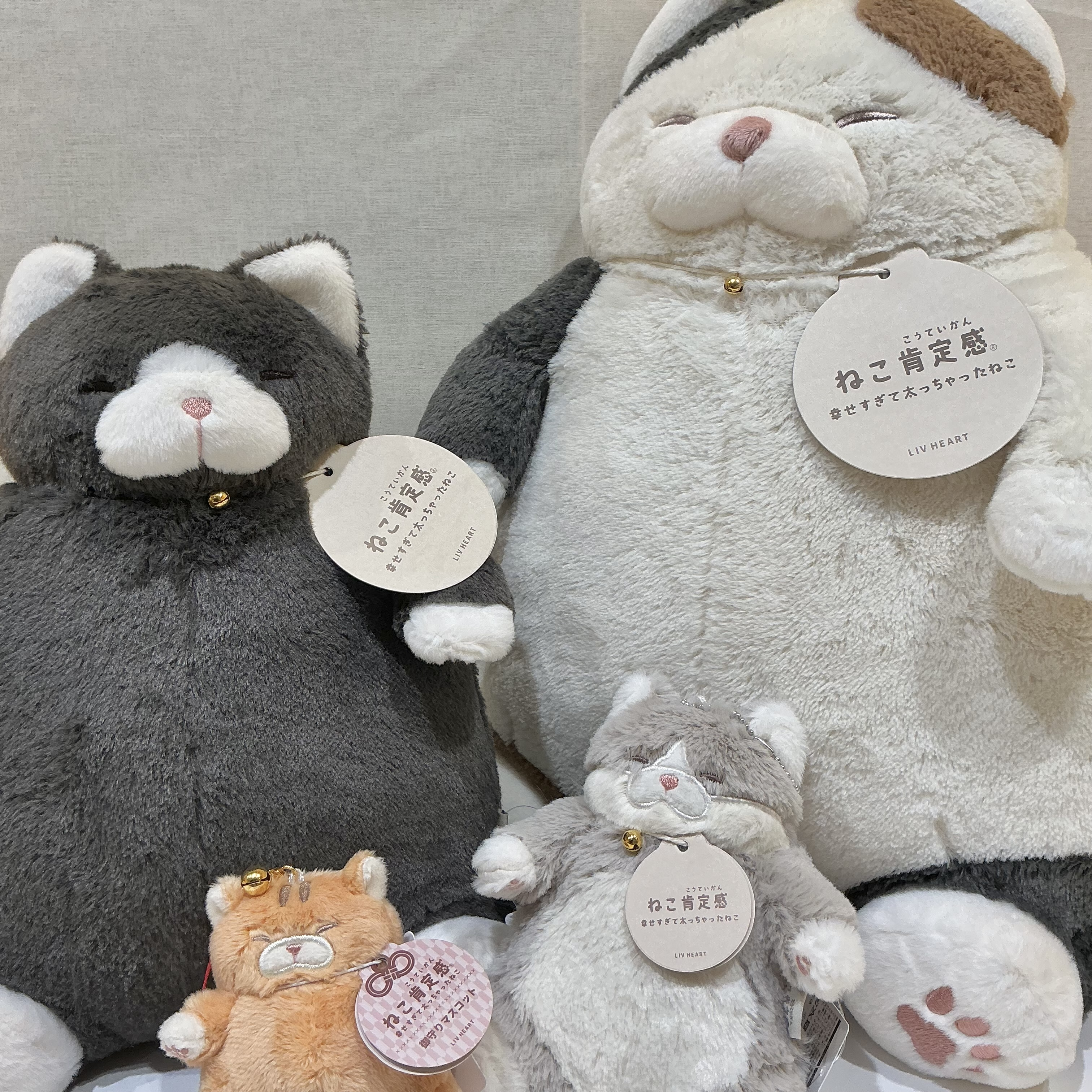 ねこ肯定感