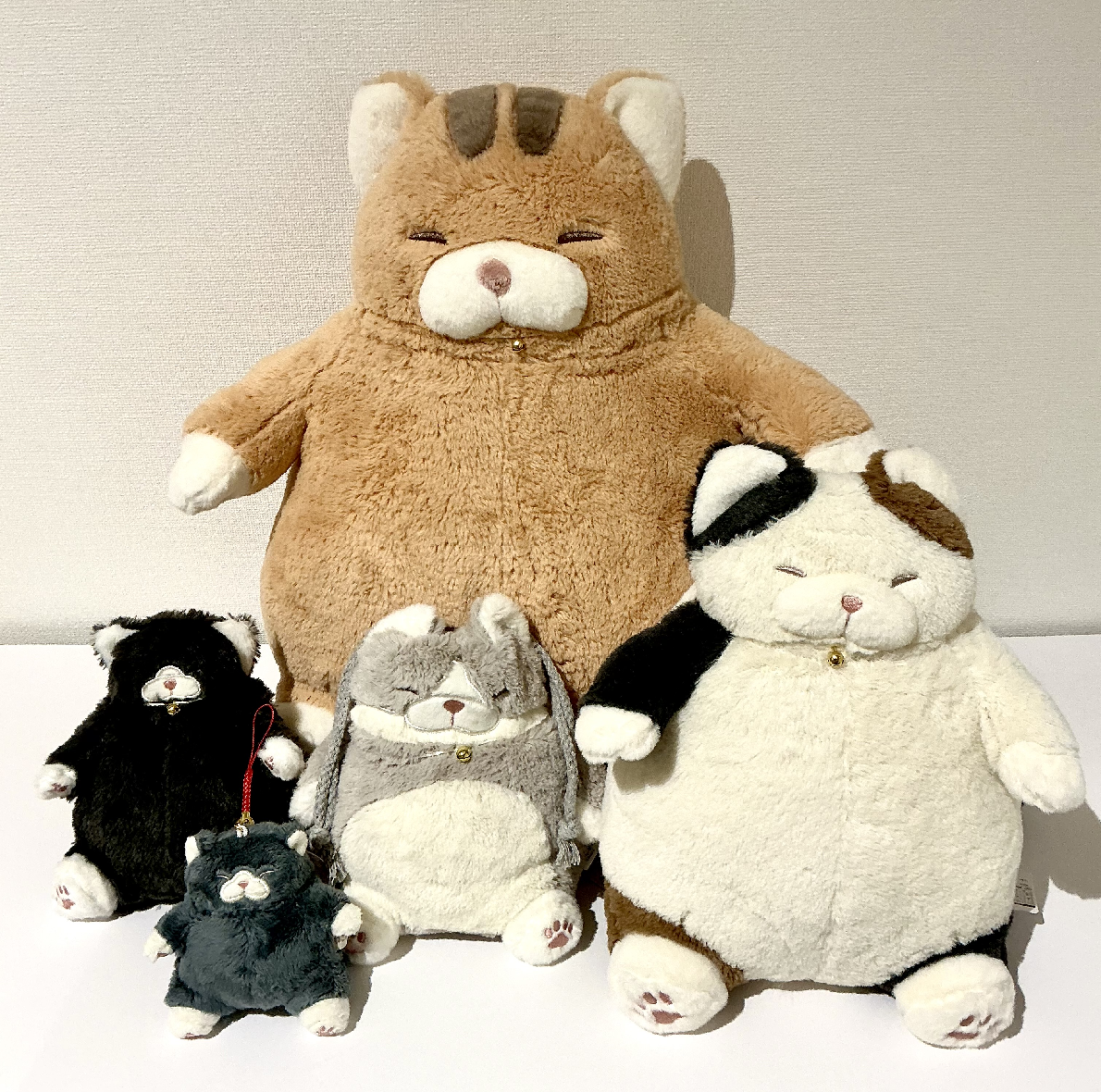 ねこ肯定感
